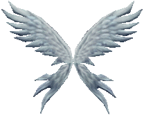 Wing of Soul (Lvl 2)