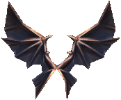 Wing of Dragon (Lvl 2)